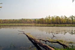 Stakeholders stress forest wetland preservation